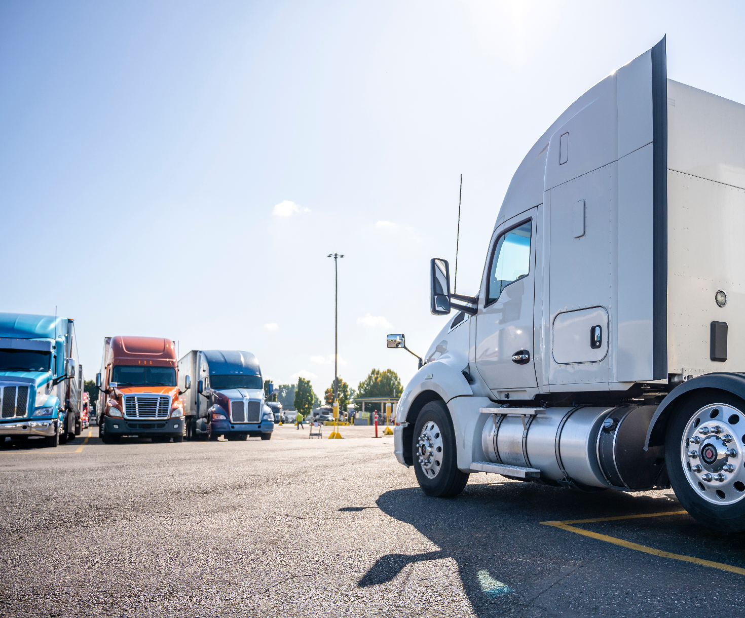 A row of colorful semi-trucks, including blue, red, and white, are parked in a lot on a sunny day. A white semi-truck is prominent in the foreground, showcasing its side and part of the rear. A trucker prepares for their next journey using ELD technology to ensure compliance and safety.
