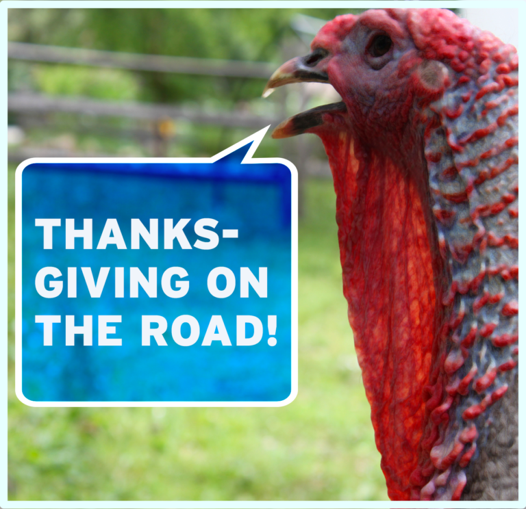 Old turkey mash case study 07 picture